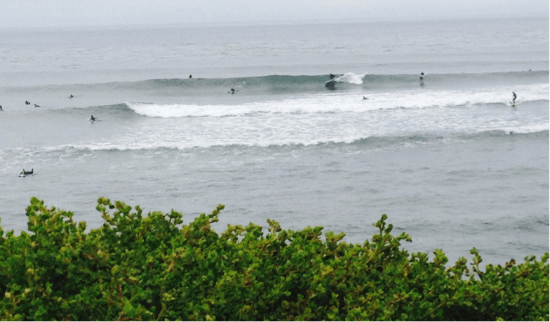 surfing santa cruz