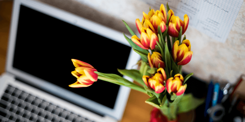 5 Ways to Share Your Remote Company Brand
