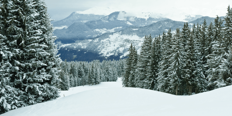 How to Throw a Memorable Virtual Holiday Party