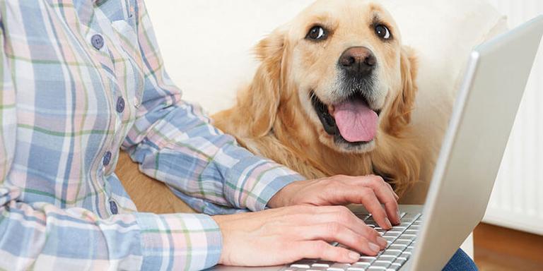 Why It’d Be Tough to Go Back to The Office After Working from Home