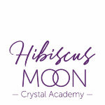Hibiscus Moon Crystal Academy