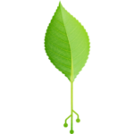 Digital Harvest, Inc.